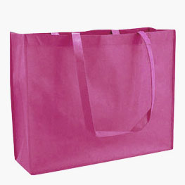 Carry Bag